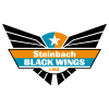 Black Wings Linz