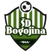 Bogojina