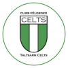 Talysarn Celts