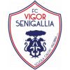 Vigor Senigallia