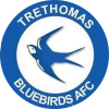 Trethomas Bluebirds