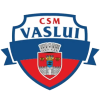 CSM Vaslui