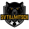 Tillmitsch