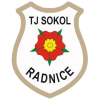 Sokol Radnice