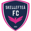 Skelleftea FC 여